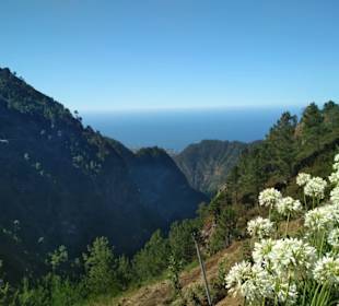 Aussicht über das Tal der Nonnen