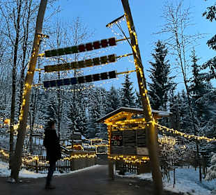 Waldwipfelweg St Englmar/Maibrunn