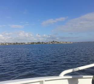 Swan River