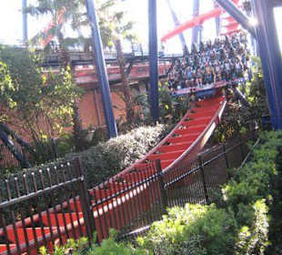 Sheikra