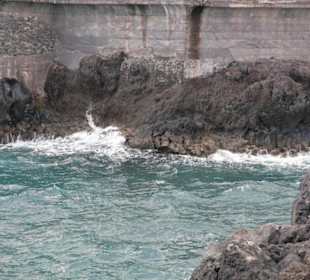 Vip- Tour, Garachico