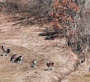 Wandern Bad Eisenkappel