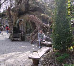 Mystische Gestalten am Mondsee