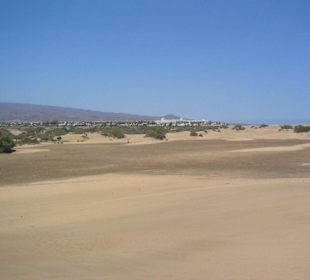 Dünen in Maspalomas bei Meloneras
