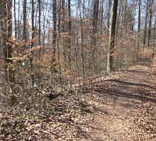 Geschichtlicher Lehrpfad Einsiedel