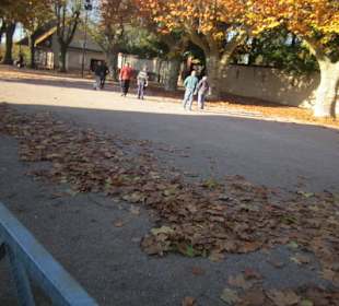 Altstadt Lauterbourg Bouleplatz