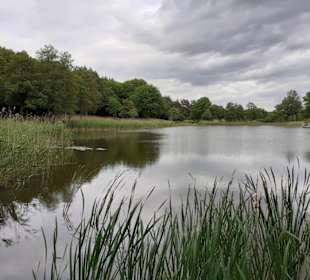 Seewoog in Ramstein-Miesenbach