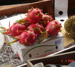Dragon fruit