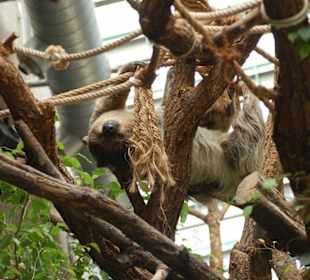 Schön so faul zu sein