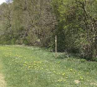 Heuscheuerle - Anhausen