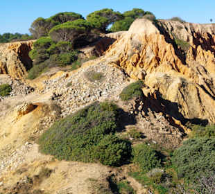 Seven Hanging Valleys Trail 