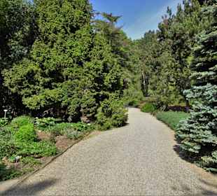 Eindrücke vom Rundgang durch den Berggarten