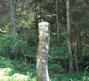 Premiumwanderweg Hochgehschätzt