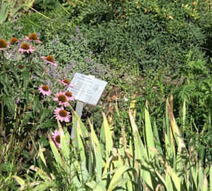 Klosterkirche Maria Gnadenzell
