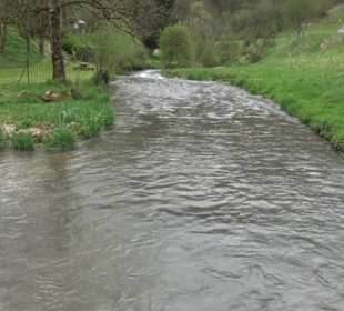Premiumwanderweg Hochgebürzelt