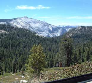 Parco Nazionale di Yosemite