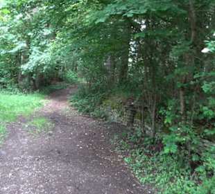 Schutzgebiet Spitzberg, Pfaffenberg