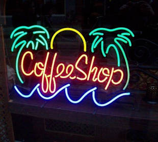 Vacaciones perfectas con amigos