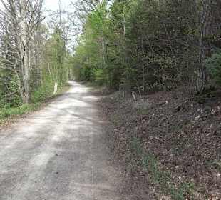 Walderlebnisweg Rottenburg