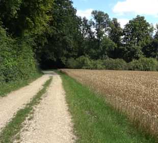 Hochgehnießen - Premiumspazierwanderweg