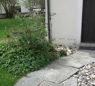 Nikolauskirche Seißen