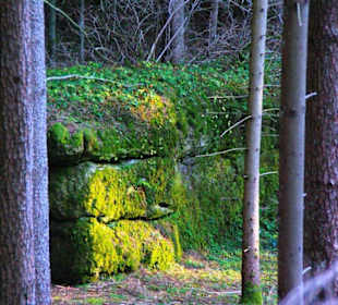 Kletterparadies in Kirchenbirkig