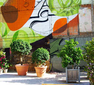 Buchsbäume verschieden und Palmen