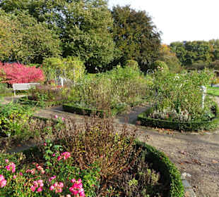 Rundgang durch das herbstliche "Planten un Blomen"