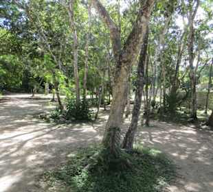 Spaziergang auf dem Ruinengelände