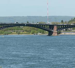 Bei einem Spaziergang in Mainz entlang des Rheins