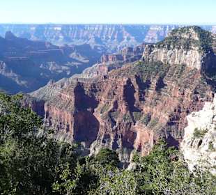 Blick zum Grand Canyon vom Nordrand