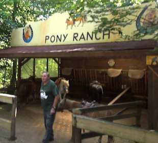 Pony Ranch