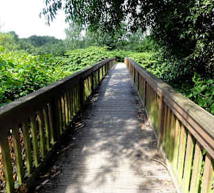 Unterwegs auf dem Huntepadd