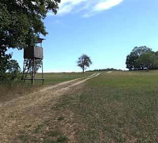 Wandertour Greifensteinrunde