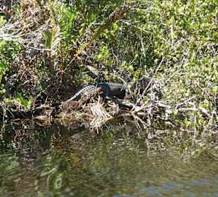 Everglades Safari Park