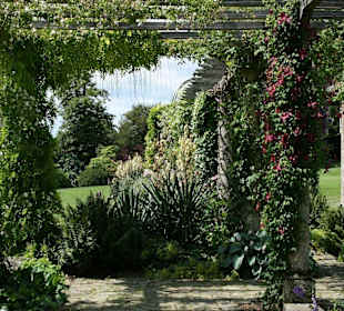 Pergola