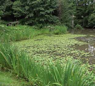 Sonnenaufgangs-Rundwanderung Rübgarten