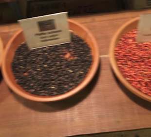 Spicy's Gewürzmuseum