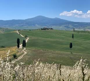 Wandern Pienza