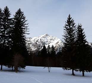 Wandern Pertisau