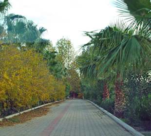 Zufahrt ca. 300mtr.Privat
