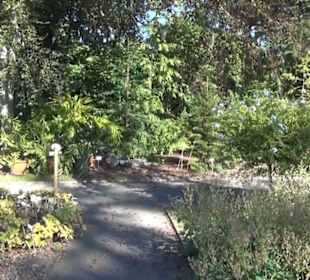 Botanischer Garten