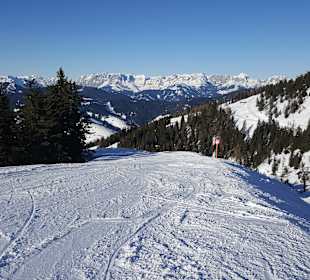 Skifahren
