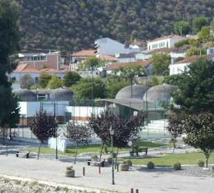 Pinhão