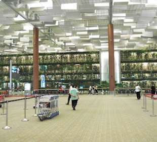 Flughafen Singapur - Terminal 3