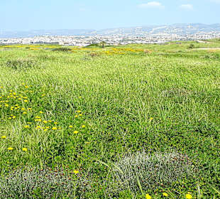 Archäologischer Park Kato Pafos