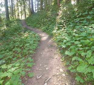 Wandern Sesto / Sexten