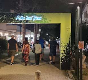 Lido dei Pini Bereich