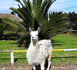 Rundreise durch Ecuador