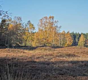 Herbststimmung am Pestruper Gräberfeld